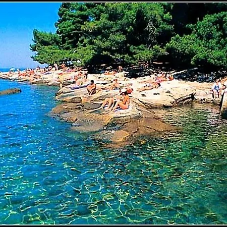Apartmán Nives Nb *